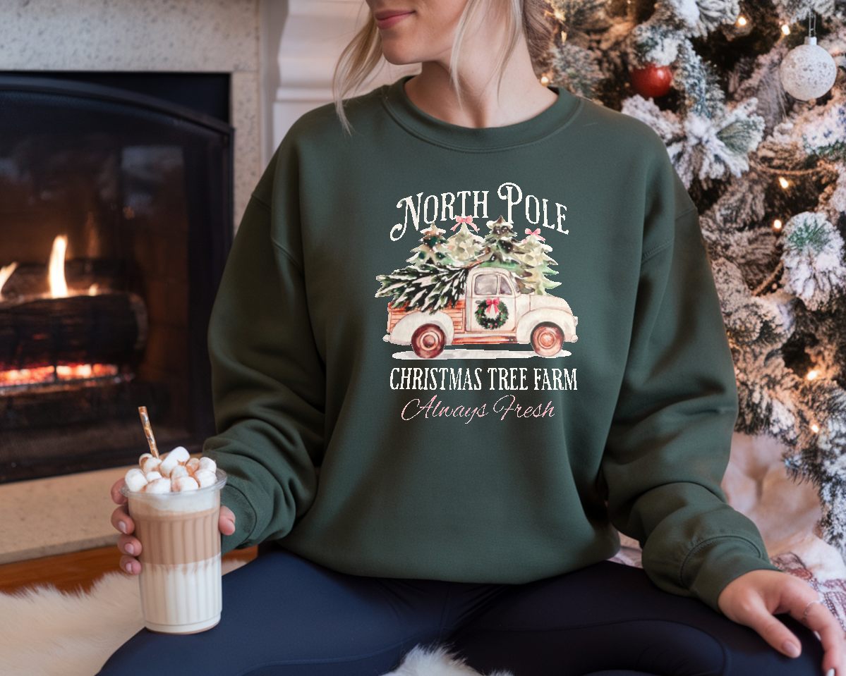 North Pole Sweatshirt